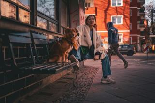 Berlinois chien : bières artisanales, rock et vie berlinoise