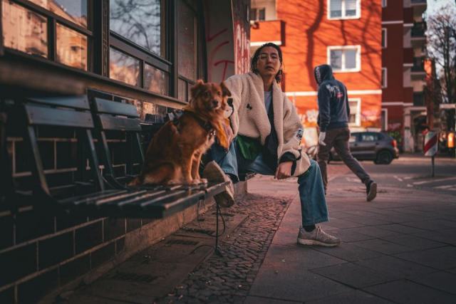 Berlinois chien et le berlinois : l'essentiel a Berlin Berlinois chien et le berlinois : l'essentiel a Berlin
