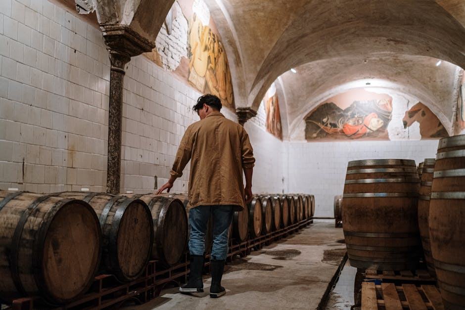 Faire sécher des drêches : guide bière, rock et Berlin